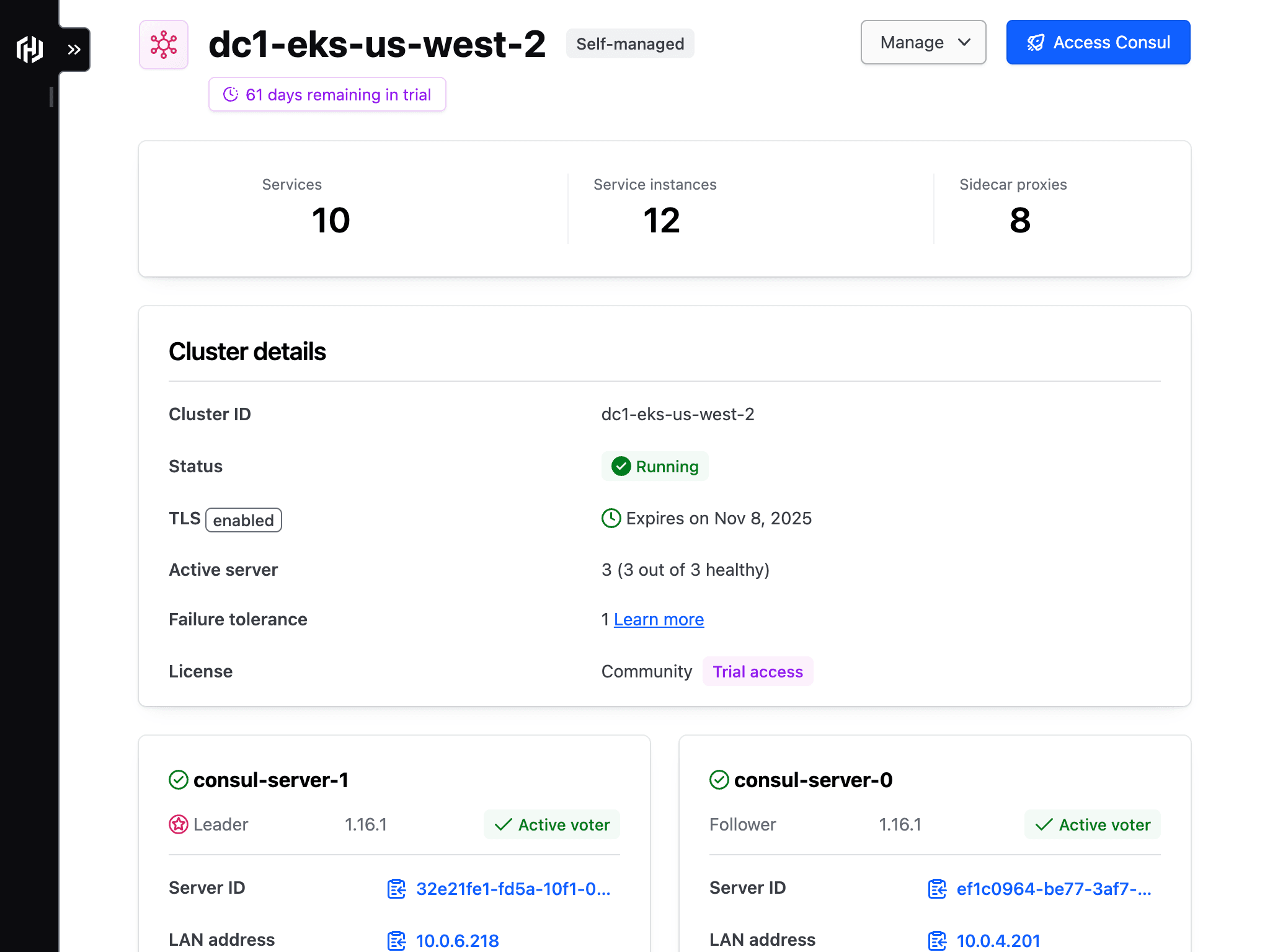 The cluster details page of the linked self-managed Consul cluster.